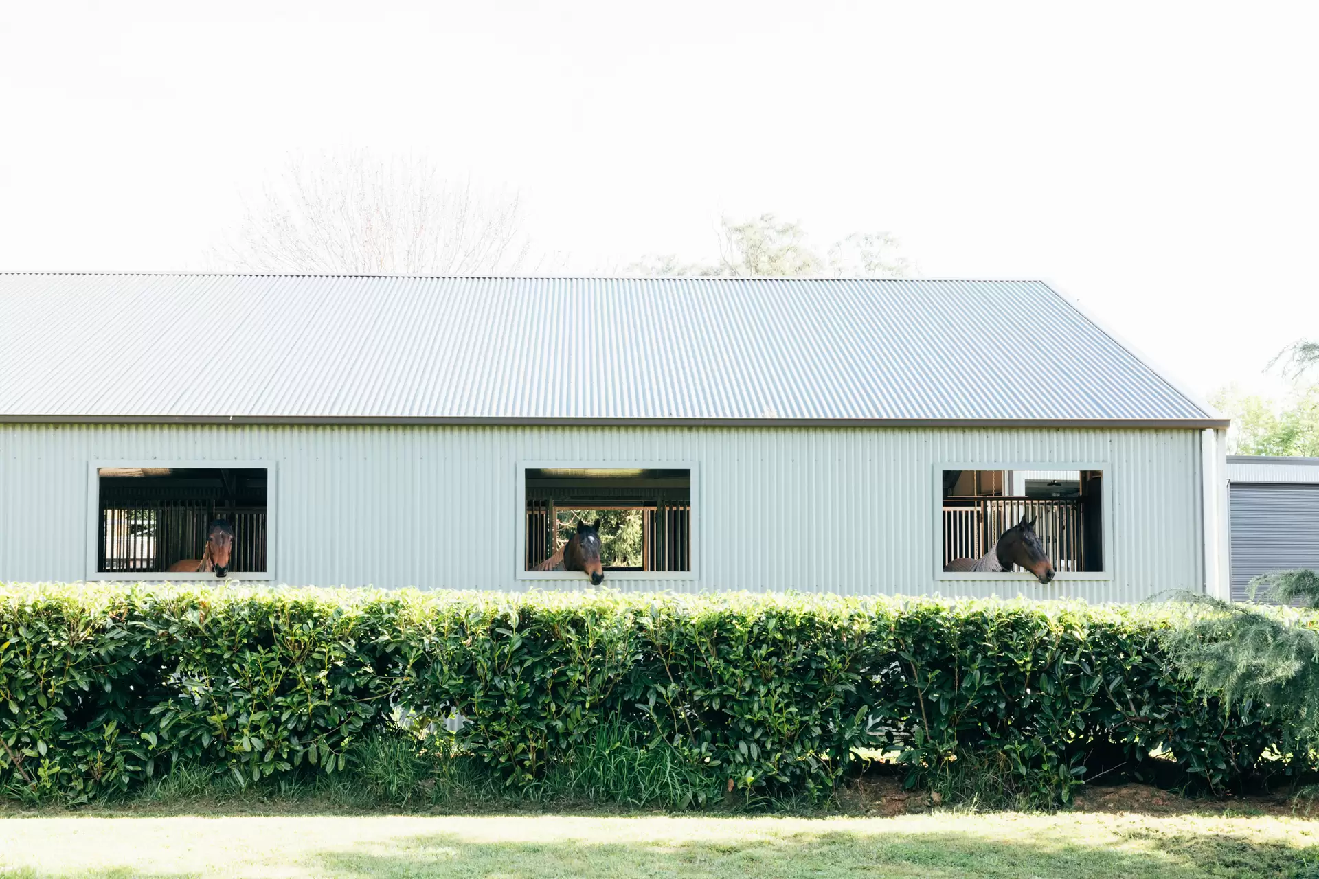 183 Ringwood Road, Exeter Sold by Drew Lindsay Sotheby's International Realty - image 18