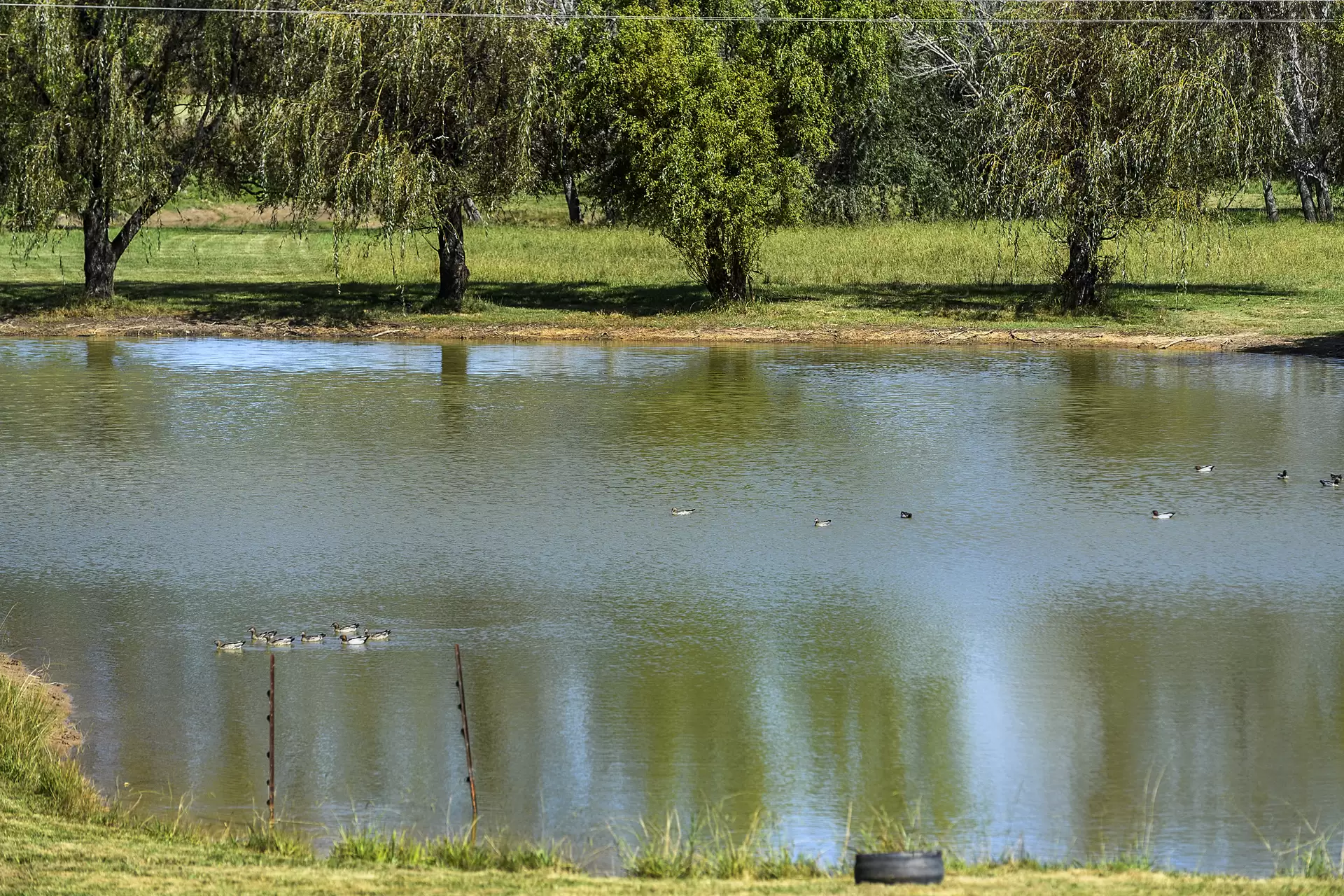 Burradoo Sold by Drew Lindsay Sotheby's International Realty - image 25