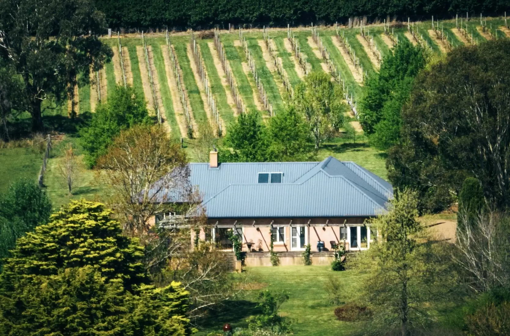 705 Joadja Road, Mandemar Sold by Drew Lindsay Sotheby's International Realty - image 34