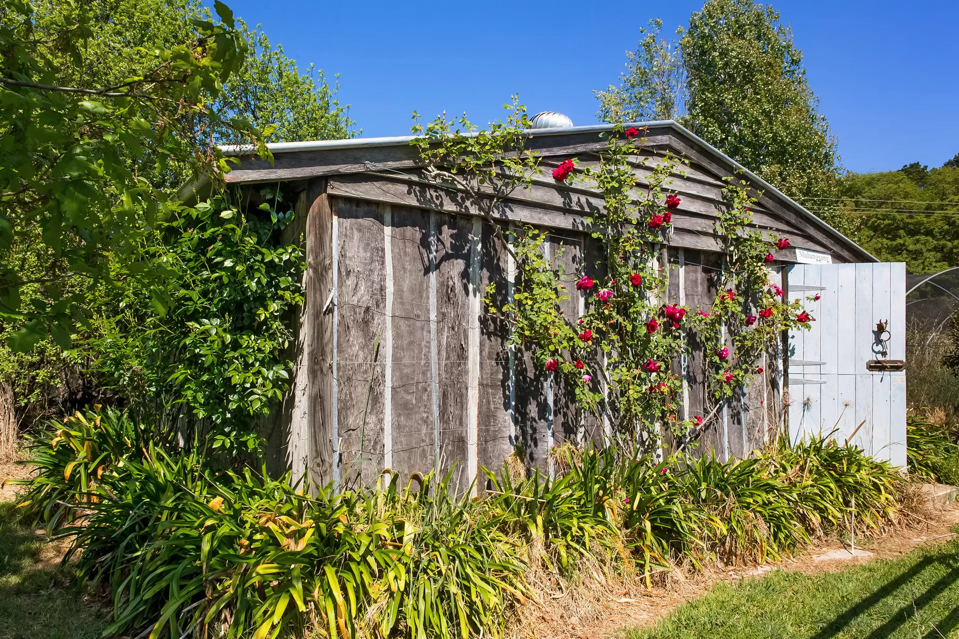 705 Joadja Road, Mandemar Sold by Drew Lindsay Sotheby's International Realty - image 28