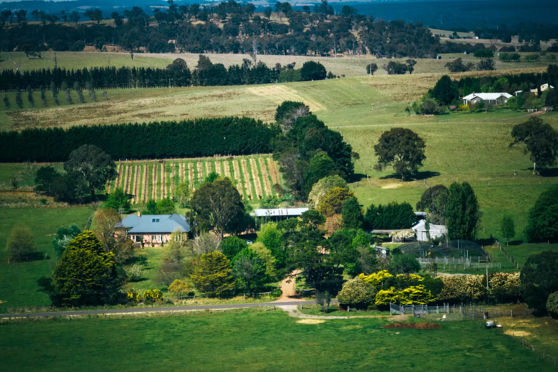 705 Joadja Road, Mandemar Sold by Drew Lindsay Sotheby's International Realty - image 31