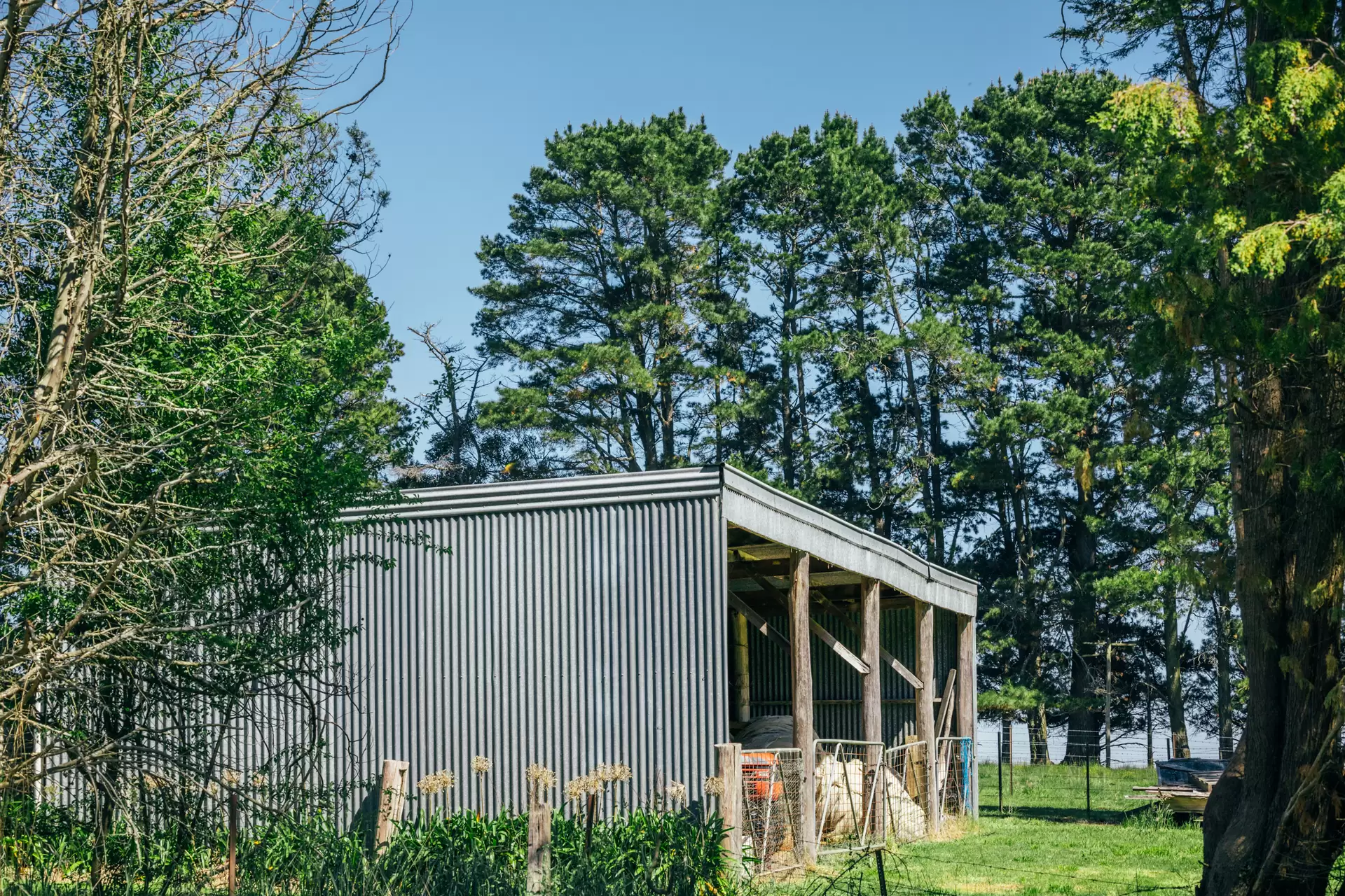 705 Joadja Road, Mandemar Sold by Drew Lindsay Sotheby's International Realty - image 29