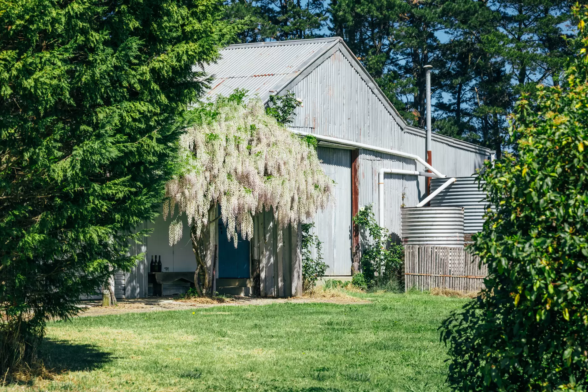 705 Joadja Road, Mandemar Sold by Drew Lindsay Sotheby's International Realty - image 26
