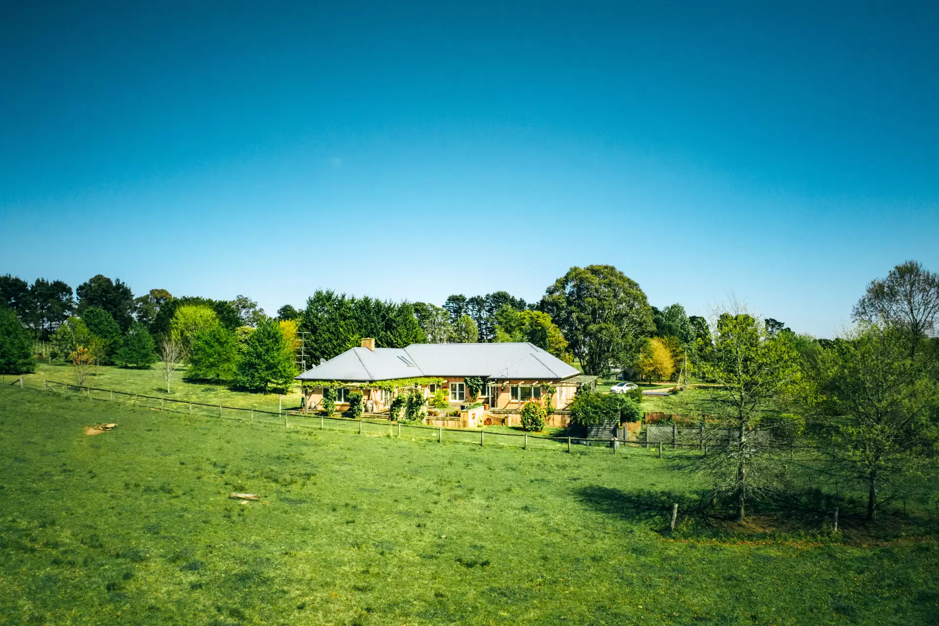 705 Joadja Road, Mandemar Sold by Drew Lindsay Sotheby's International Realty - image 20
