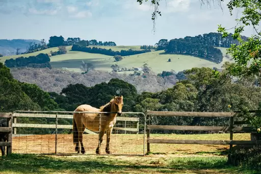 77 Kia-Ora Lane, Kangaloon Sold by Drew Lindsay Sotheby's International Realty