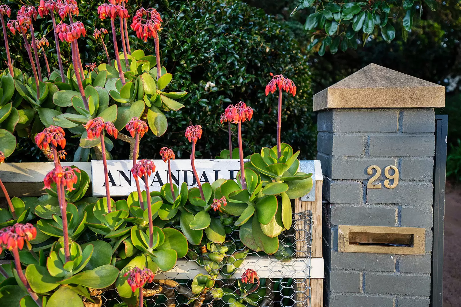 29-31 Merrigang Street, Bowral Sold by Drew Lindsay Sotheby's International Realty - image 28