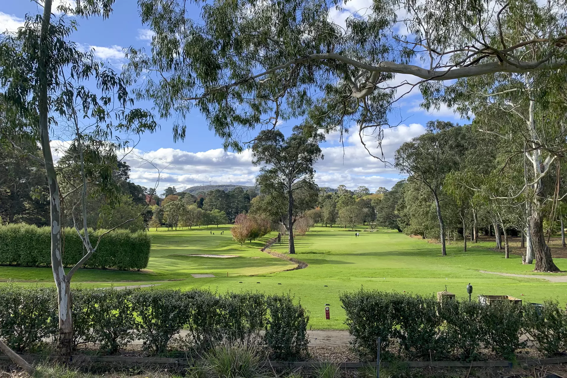 27 Links Road, Burradoo Sold by Drew Lindsay Sotheby's International Realty - image 19