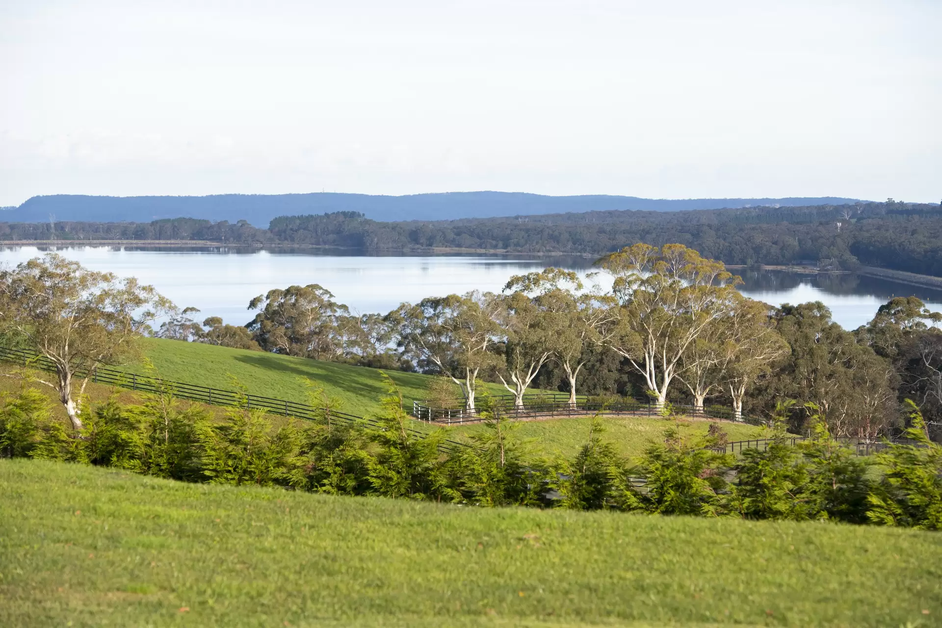 1 Cloud Lane, Avoca Sold by Drew Lindsay Sotheby's International Realty - image 4