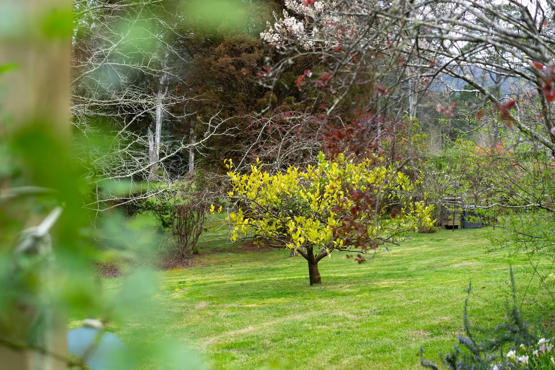 4 Fairway Drive, Bowral Sold by Drew Lindsay Sotheby's International Realty - image 22