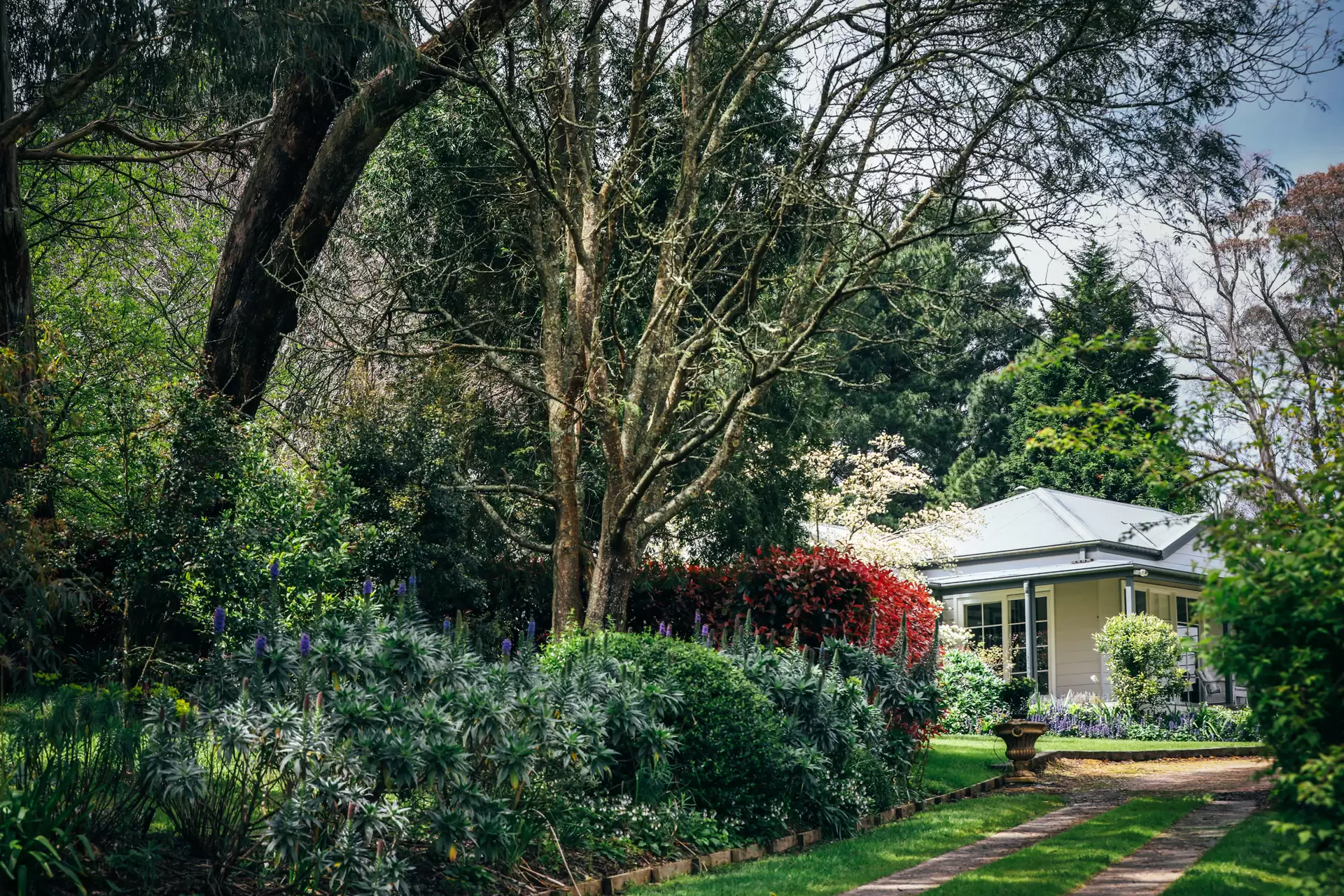 Avoca Sold by Drew Lindsay Sotheby's International Realty - image 23