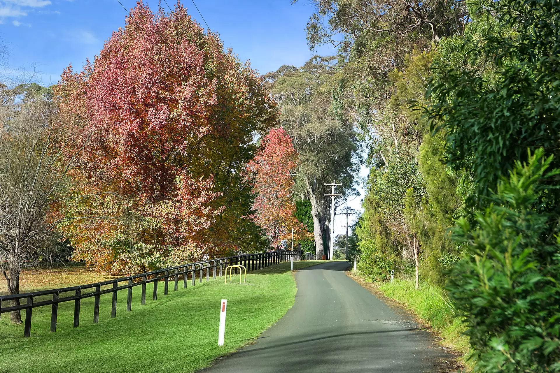 90  Mary Street, Mittagong Sold by Drew Lindsay Sotheby's International Realty - image 4