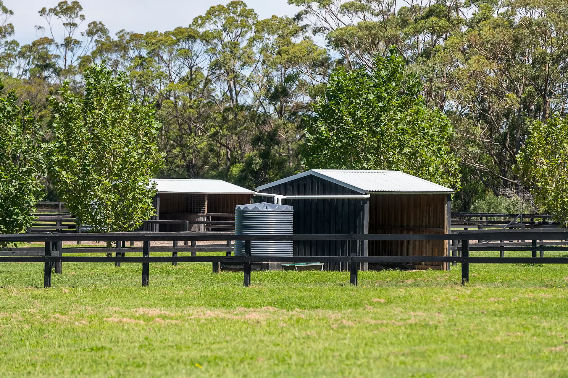170 Wallaby Hill Road, Robertson Sold by Drew Lindsay Sotheby's International Realty - image 11