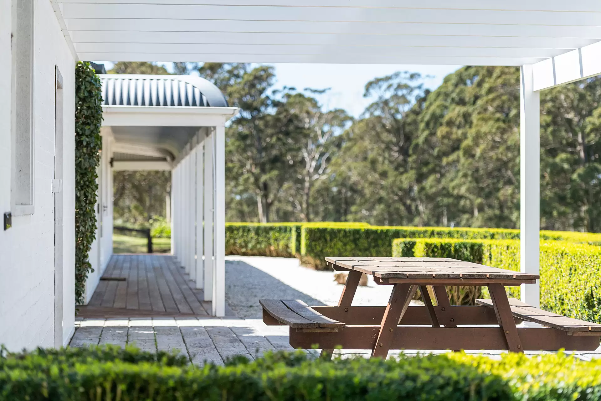 170 Wallaby Hill Road, Robertson Sold by Drew Lindsay Sotheby's International Realty - image 5