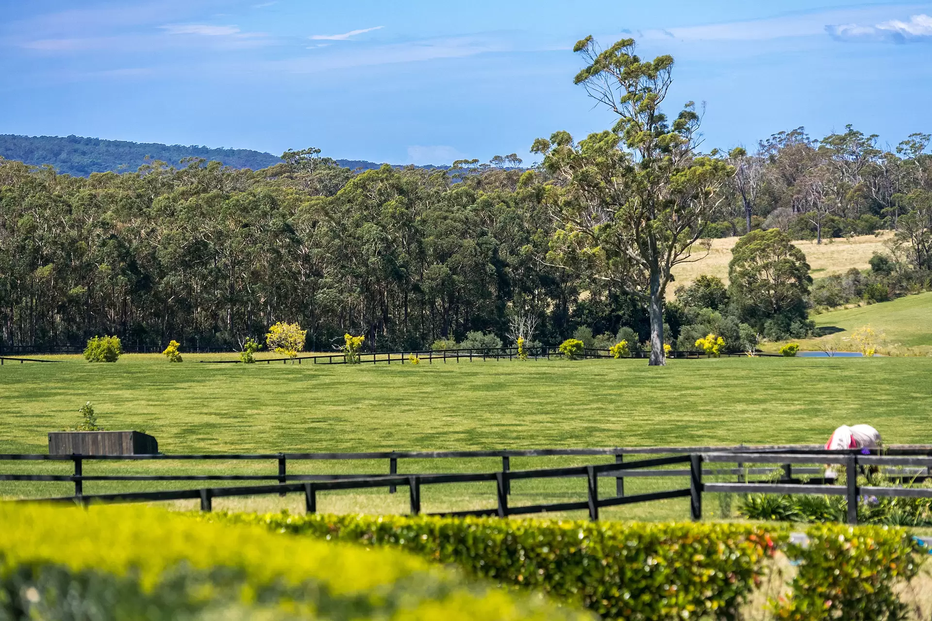 170 Wallaby Hill Road, Robertson Sold by Drew Lindsay Sotheby's International Realty - image 8