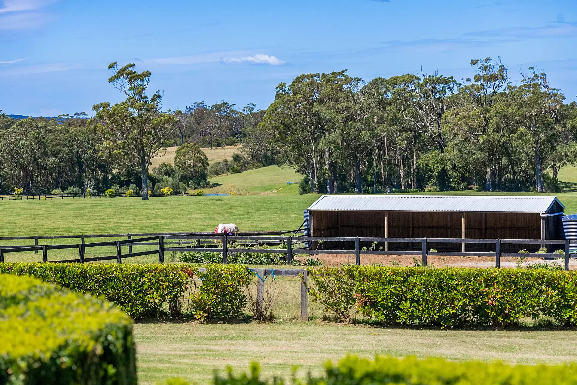 170 Wallaby Hill Road, Robertson Sold by Drew Lindsay Sotheby's International Realty - image 10