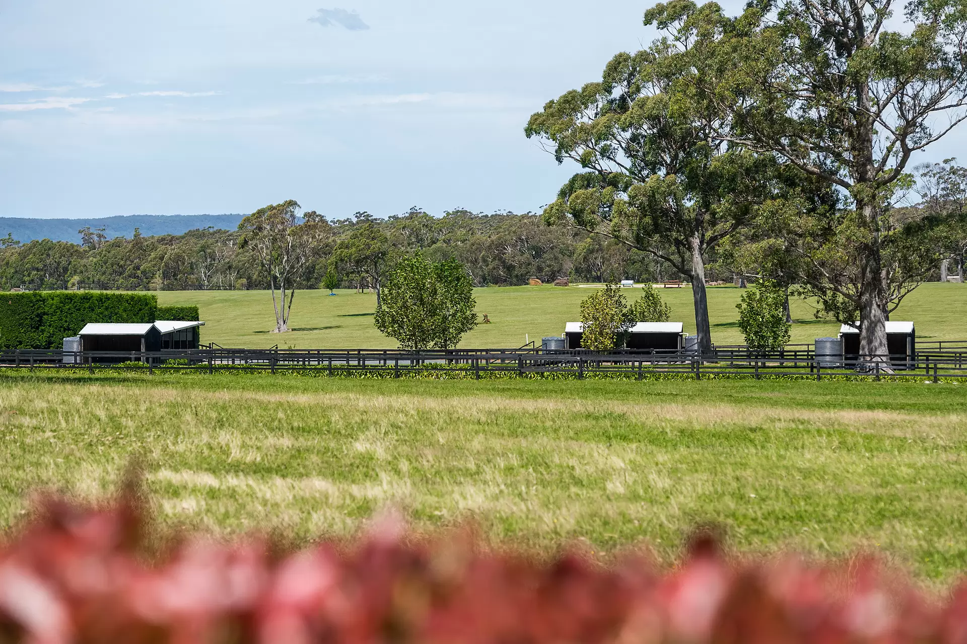 170 Wallaby Hill Road, Robertson Sold by Drew Lindsay Sotheby's International Realty - image 7