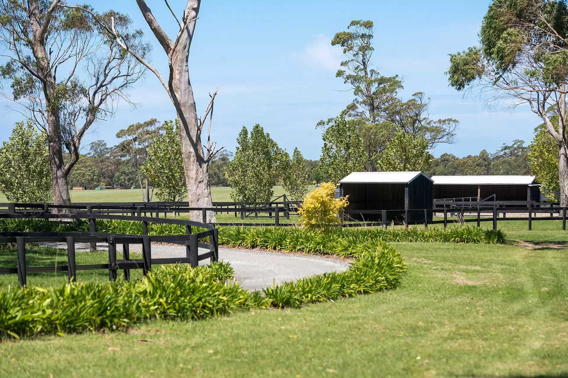 170 Wallaby Hill Road, Robertson Sold by Drew Lindsay Sotheby's International Realty - image 2