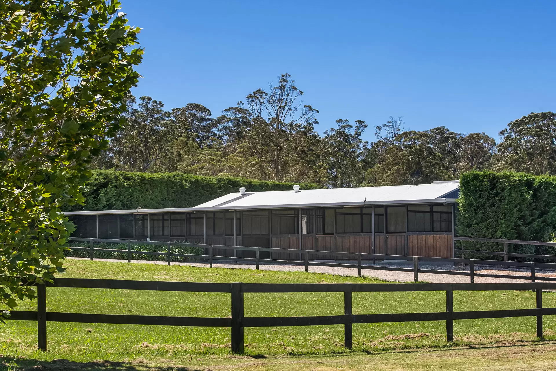 170 Wallaby Hill Road, Robertson Sold by Drew Lindsay Sotheby's International Realty - image 12