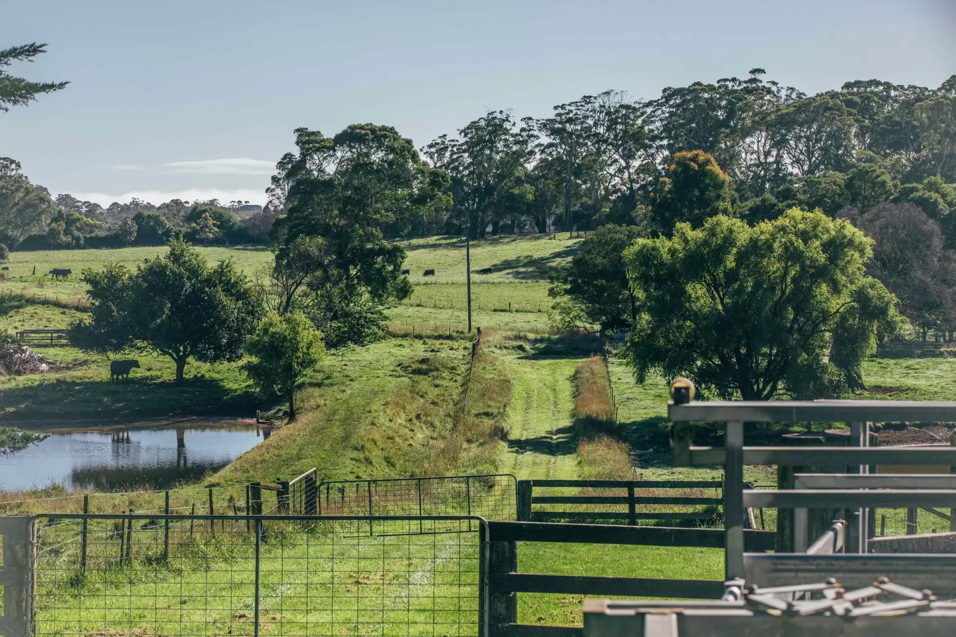 265 Bundanoon Road, Exeter Sold by Drew Lindsay Sotheby's International Realty - image 31