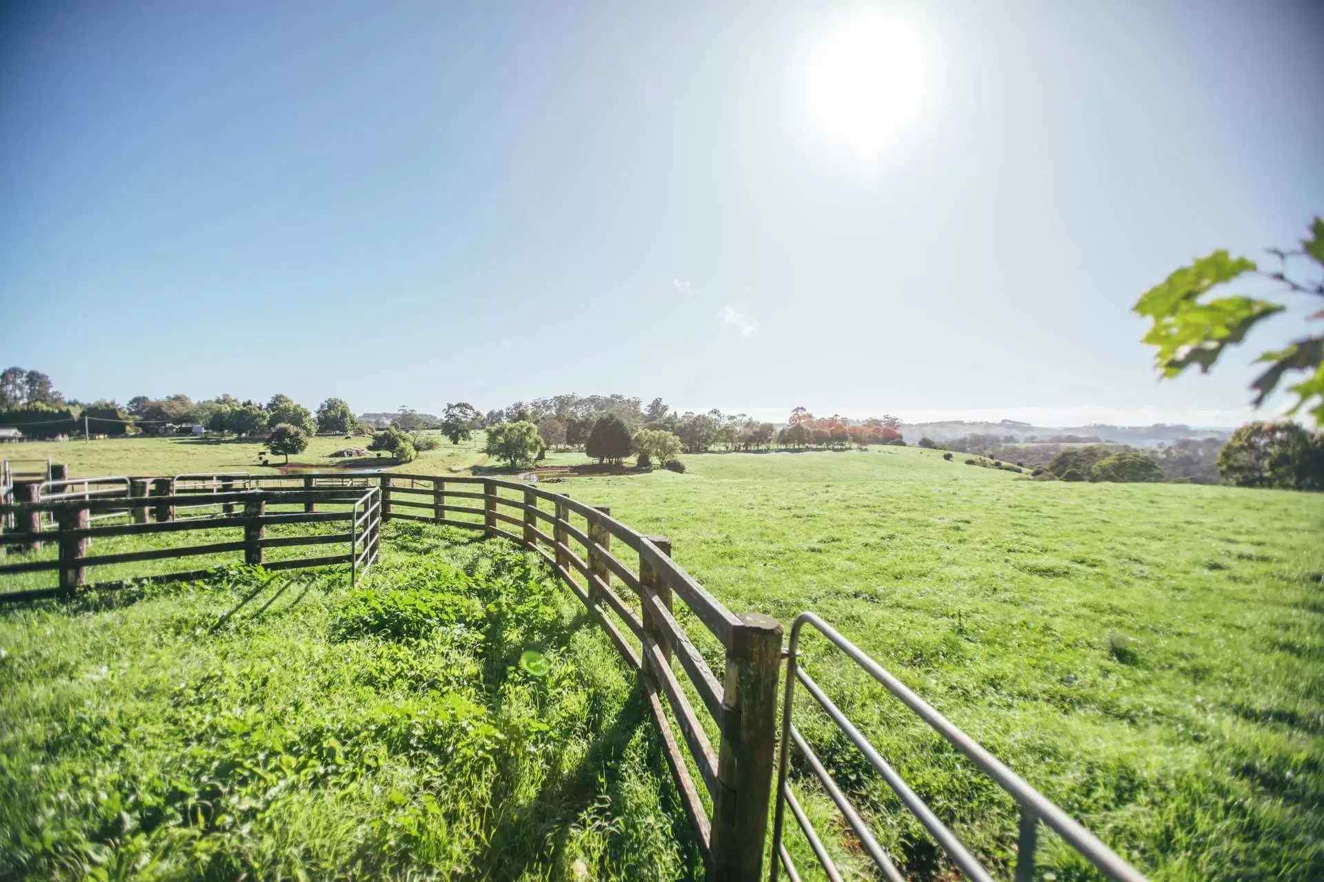 265 Bundanoon Road, Exeter Sold by Drew Lindsay Sotheby's International Realty - image 34