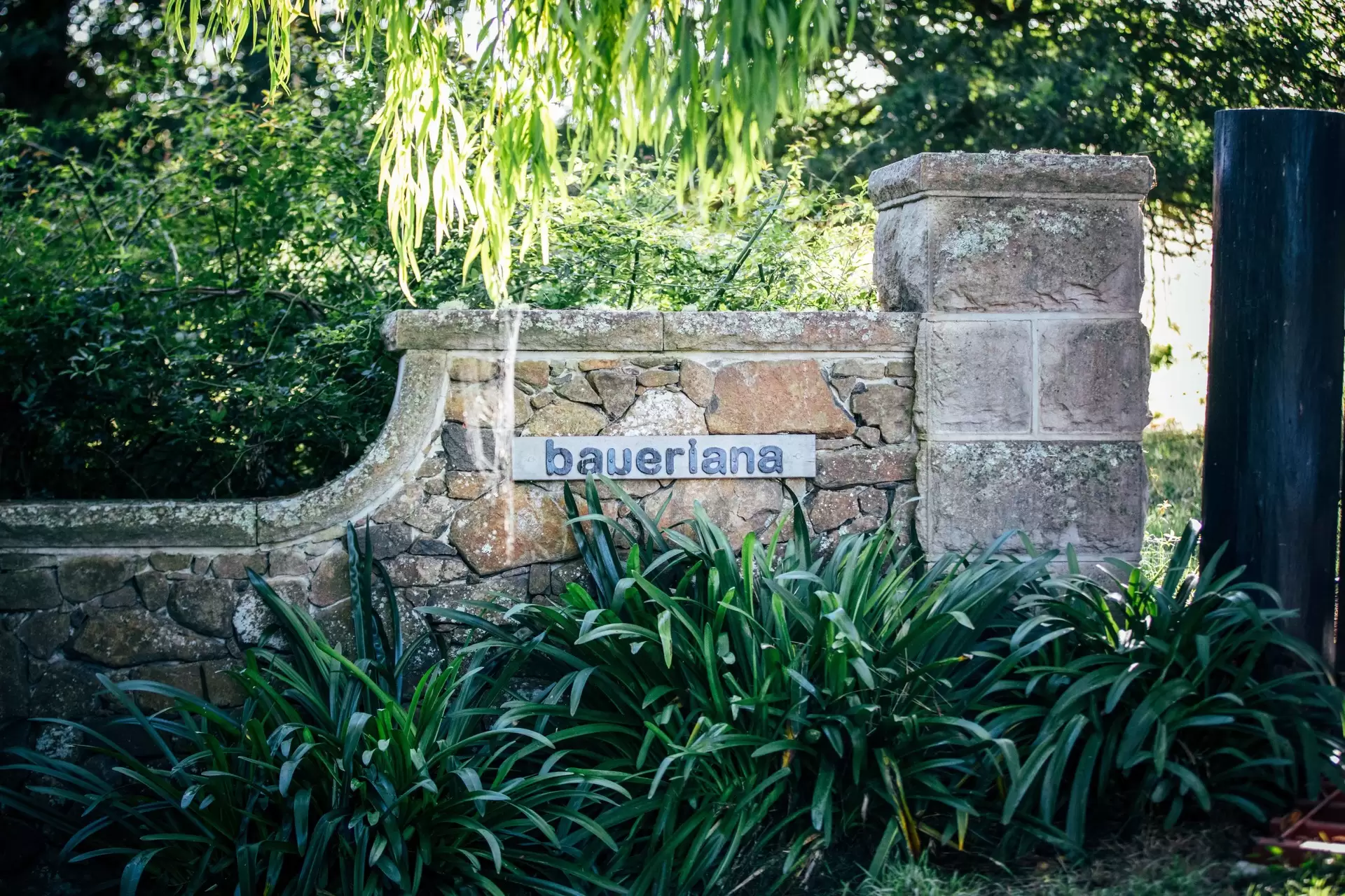265 Bundanoon Road, Exeter Sold by Drew Lindsay Sotheby's International Realty - image 3