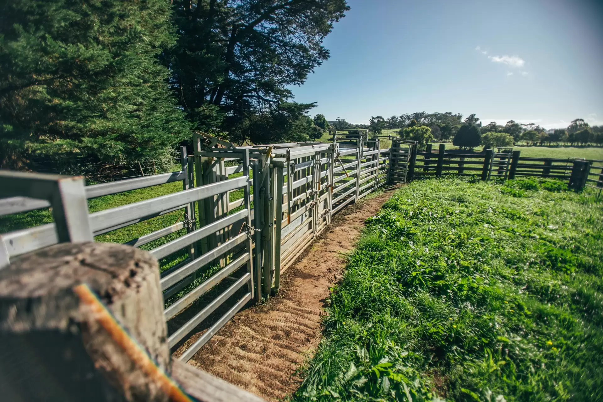 265 Bundanoon Road, Exeter Sold by Drew Lindsay Sotheby's International Realty - image 35