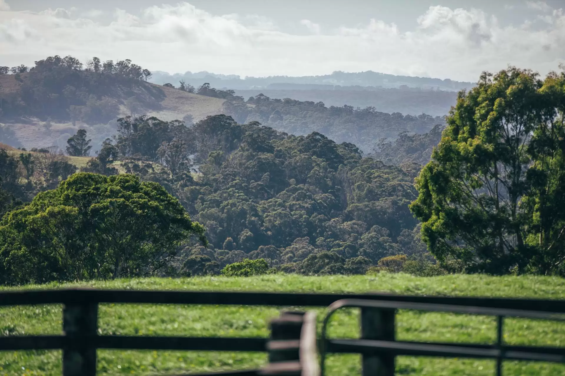 265 Bundanoon Road, Exeter Sold by Drew Lindsay Sotheby's International Realty - image 32