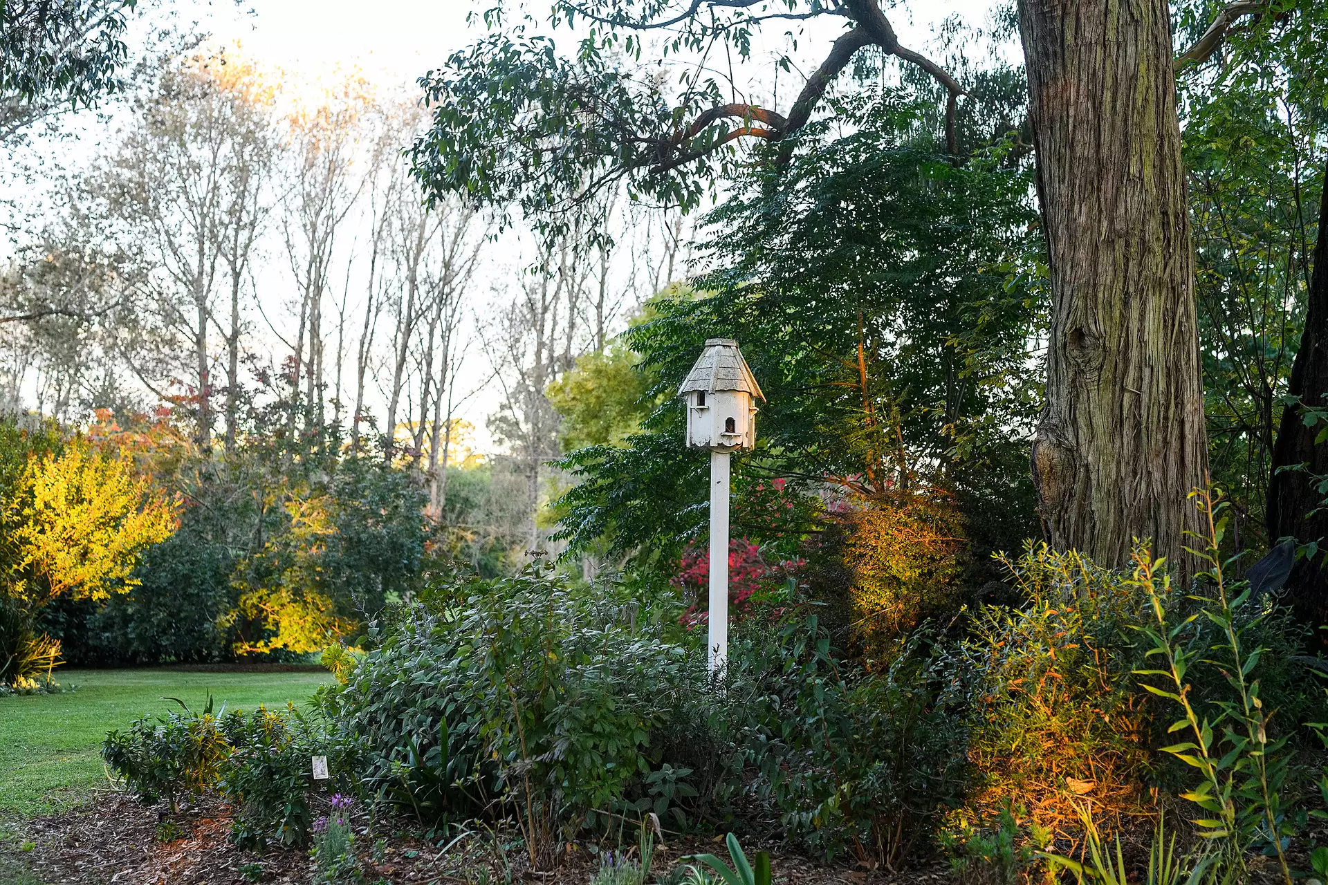 681 Sallys Corner Road, Exeter Sold by Drew Lindsay Sotheby's International Realty - image 18