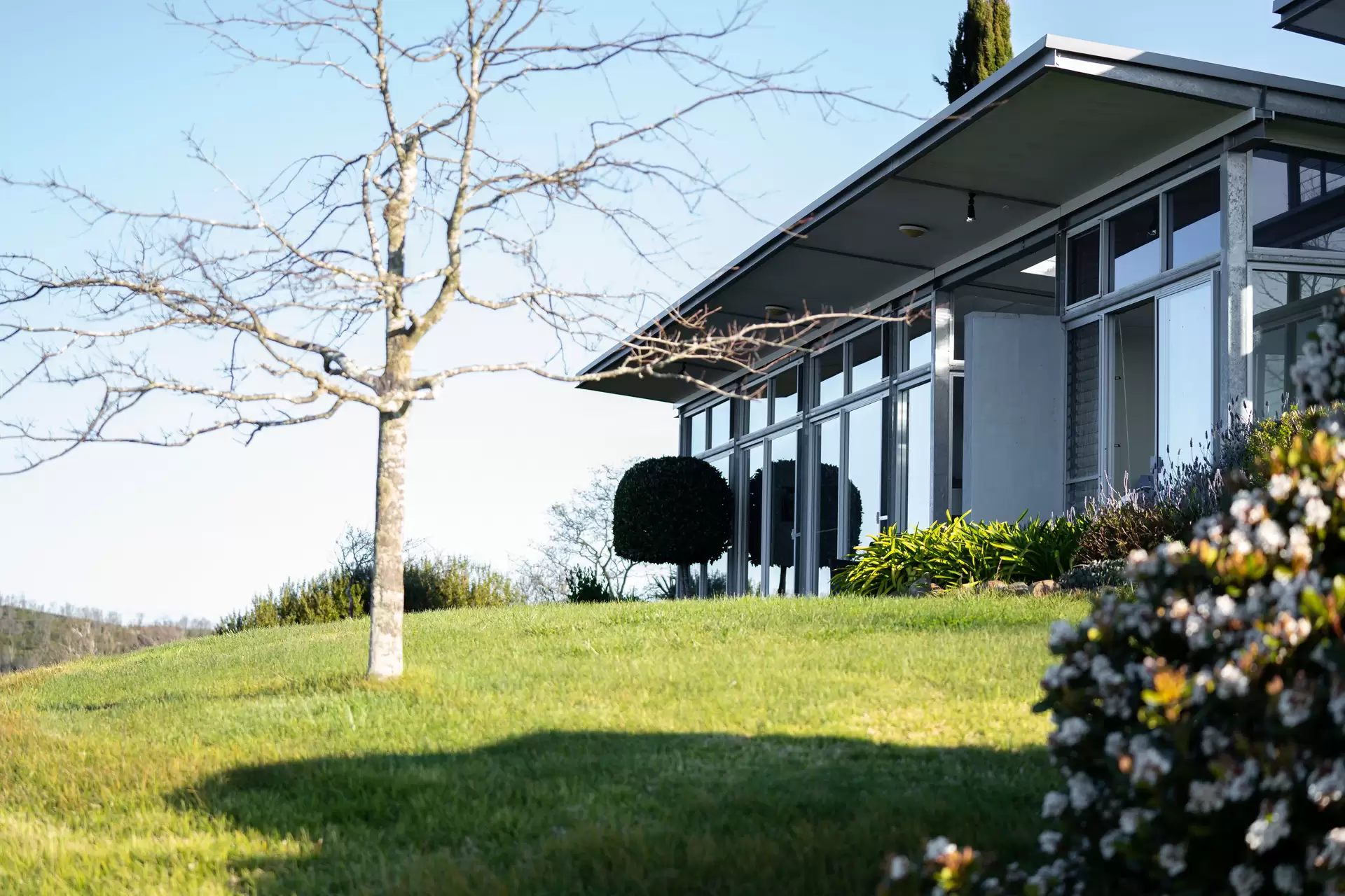Bullio Sold by Drew Lindsay Sotheby's International Realty - image 5