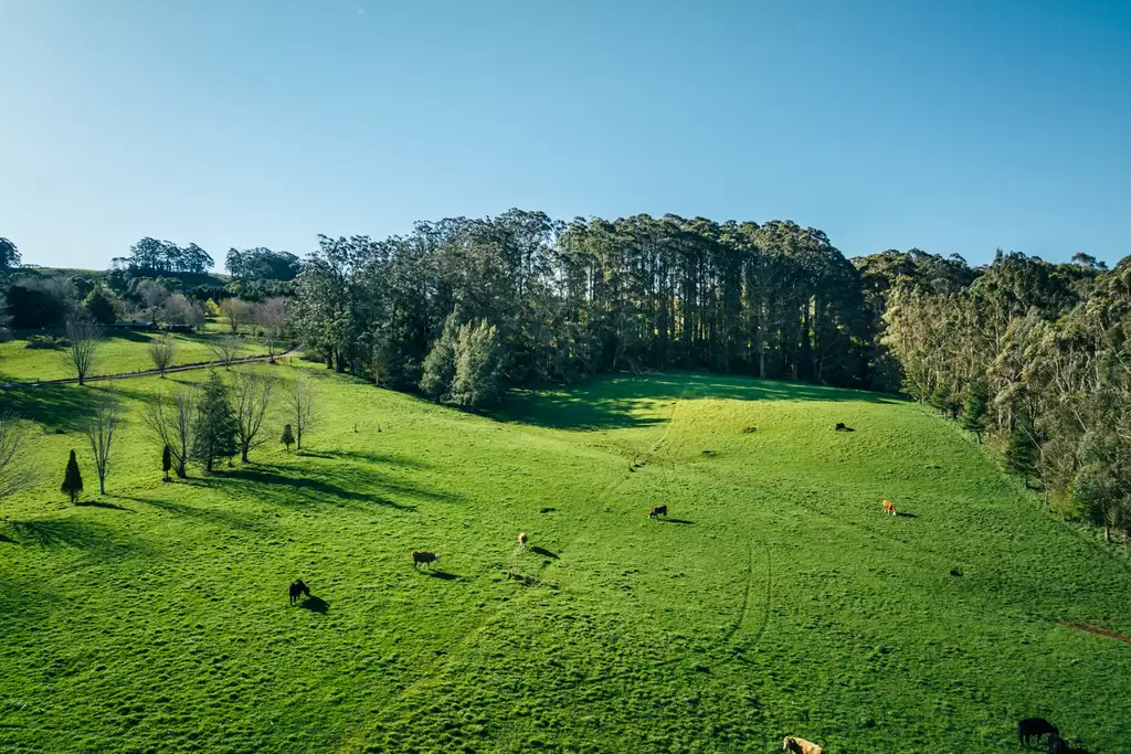 Lot 2/265 Wildes Meadow Road, Wildes Meadow Sold by Drew Lindsay Sotheby's International Realty