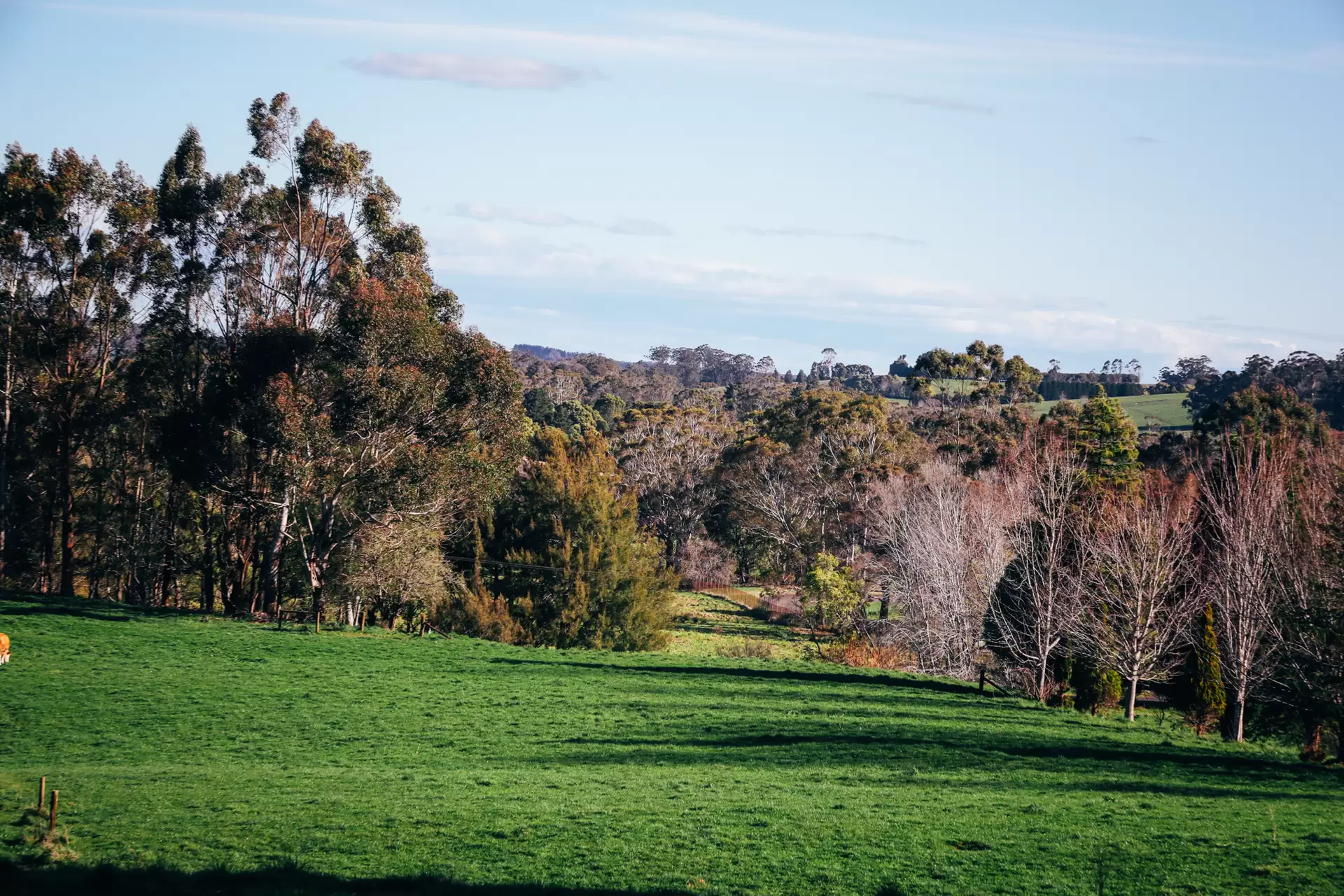 Lot 2/265 Wildes Meadow Road, Wildes Meadow Sold by Drew Lindsay Sotheby's International Realty - image 5