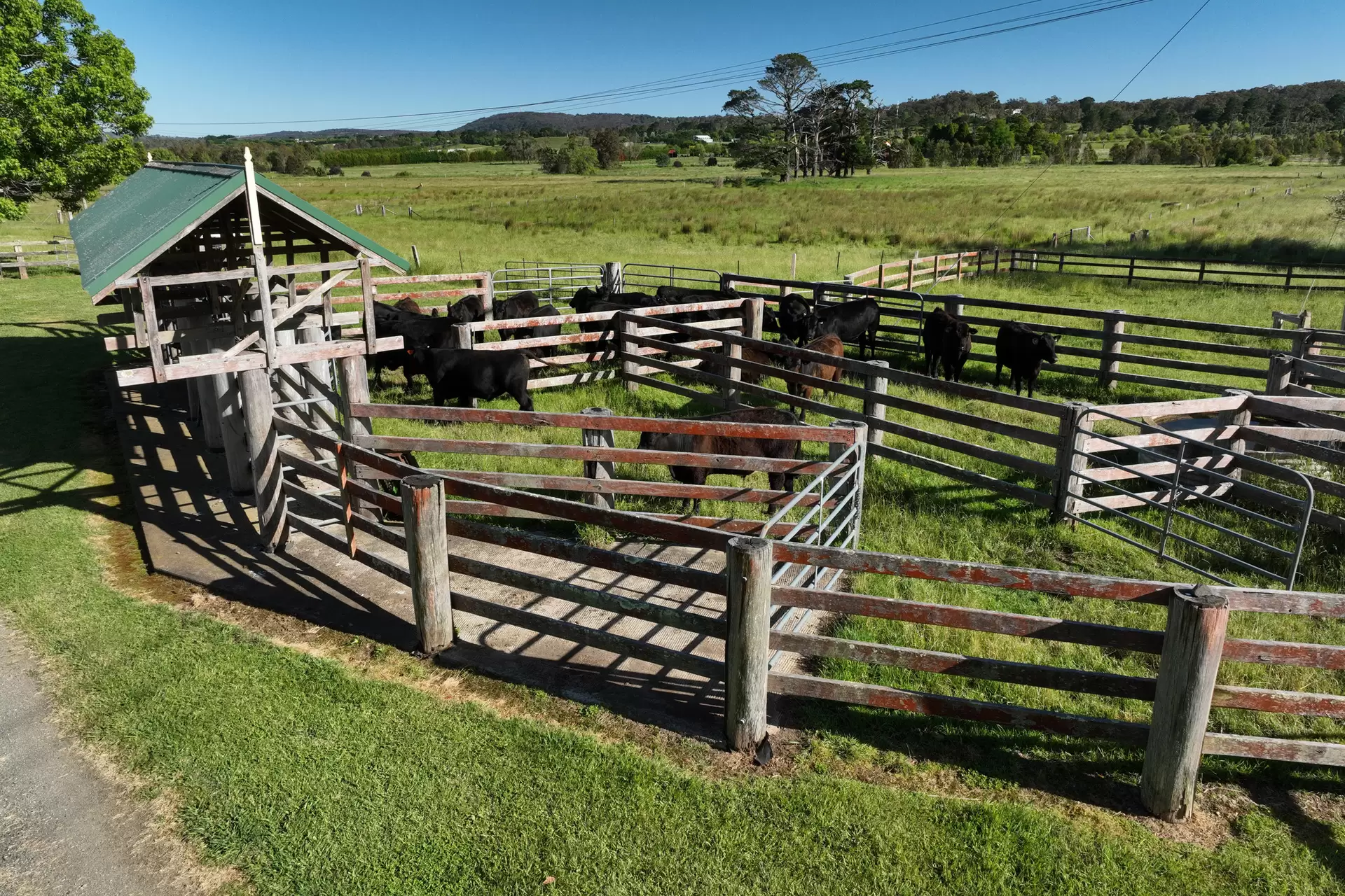 100 Sproules Lane, Glenquarry Sold by Drew Lindsay Sotheby's International Realty - image 24