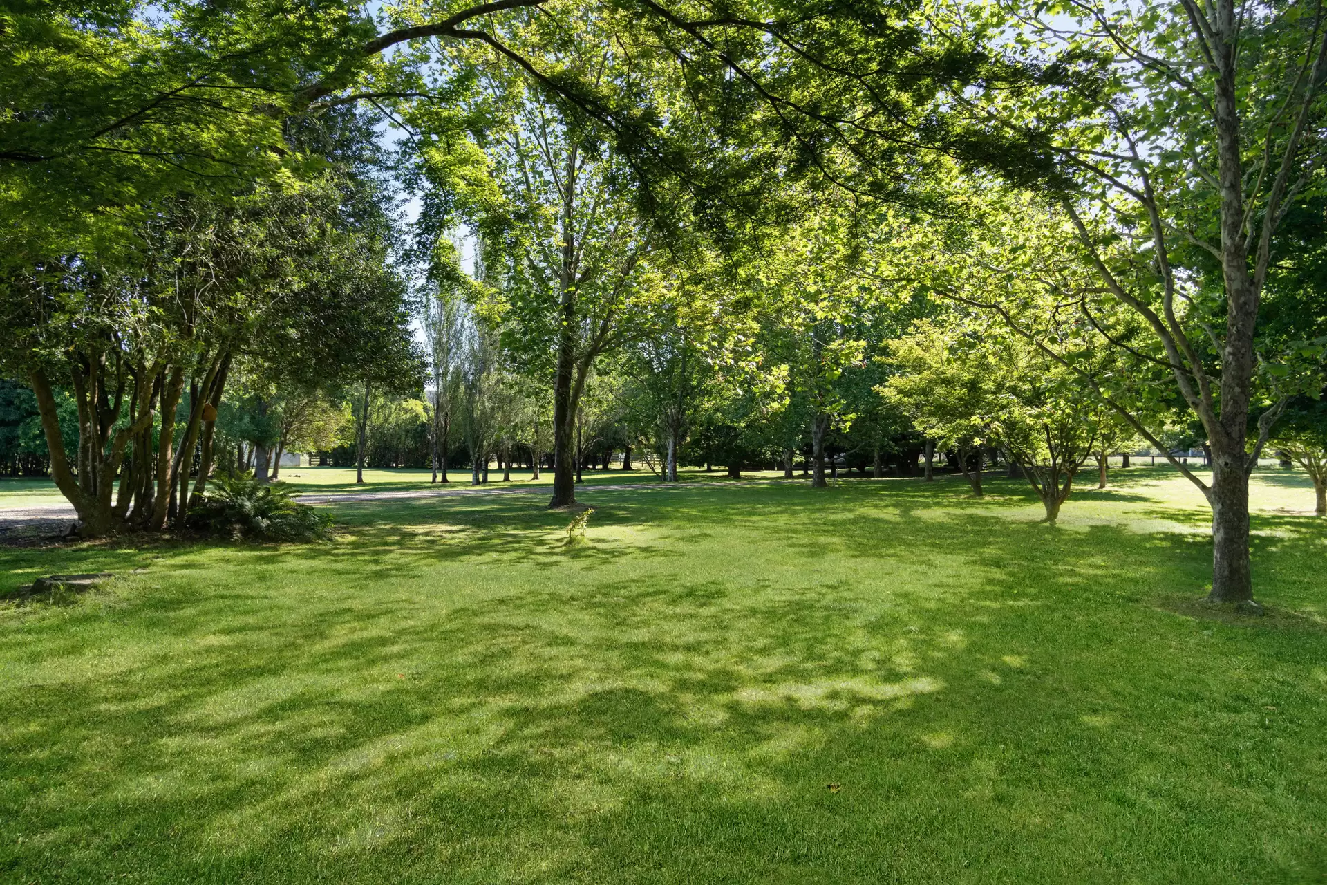 100 Sproules Lane, Glenquarry Sold by Drew Lindsay Sotheby's International Realty - image 12