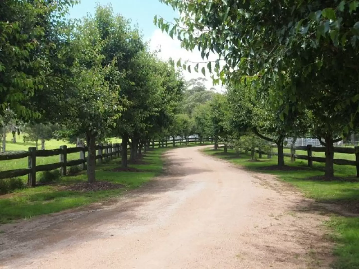 1060 Sheepwash Road, Avoca Sold by Drew Lindsay Sotheby's International Realty - image 13