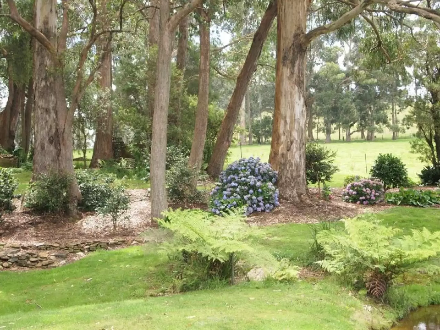 1060 Sheepwash Road, Avoca Sold by Drew Lindsay Sotheby's International Realty - image 6