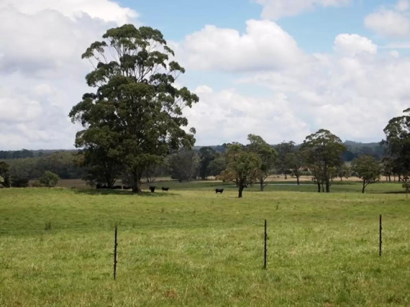 1060 Sheepwash Road, Avoca Sold by Drew Lindsay Sotheby's International Realty - image 12