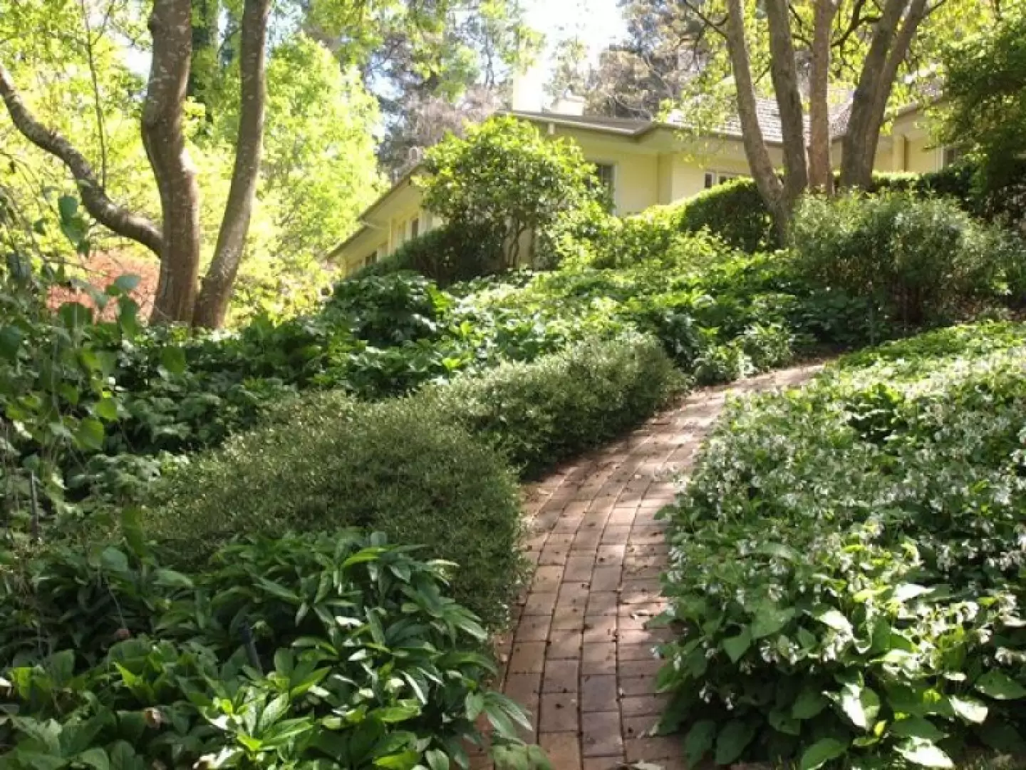 24 Queen Street, Bowral Sold by Drew Lindsay Sotheby's International Realty - image 8