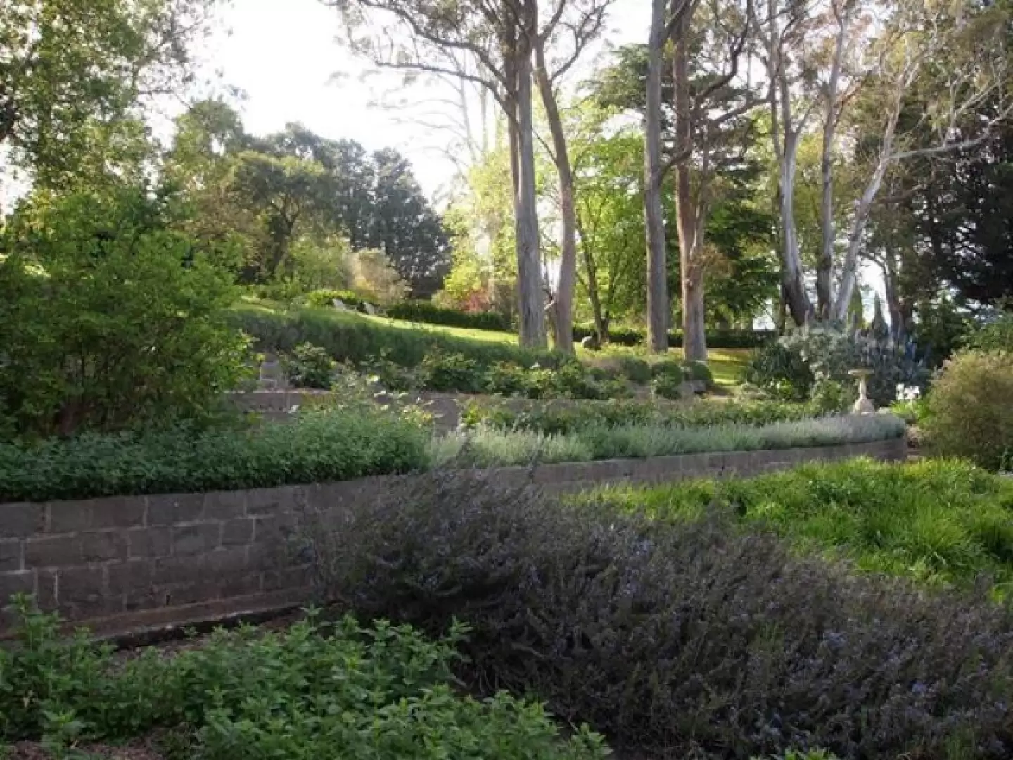 24 Queen Street, Bowral Sold by Drew Lindsay Sotheby's International Realty - image 10
