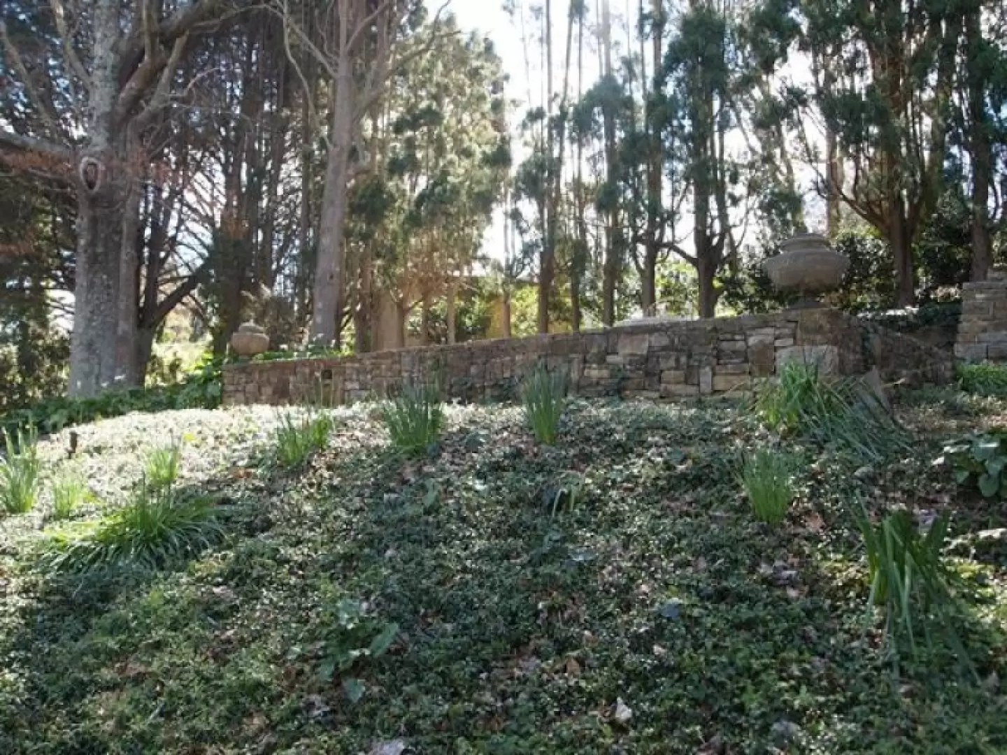 23 Gladstone Road, Bowral Sold by Drew Lindsay Sotheby's International Realty - image 5