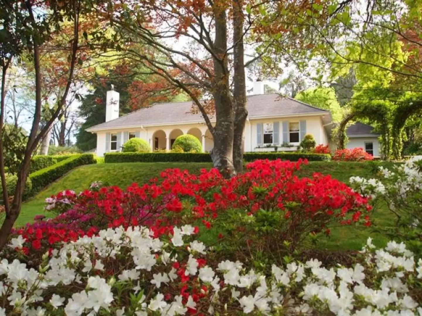 23 Gladstone Road, Bowral Sold by Drew Lindsay Sotheby's International Realty - image 15