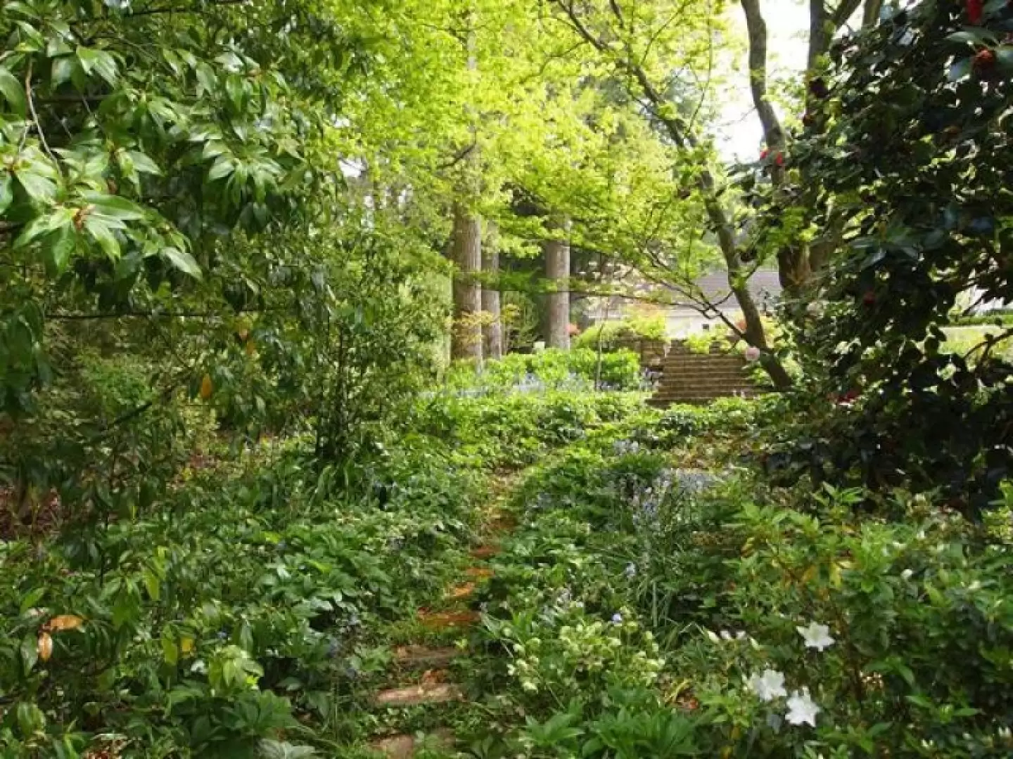 23 Gladstone Road, Bowral Sold by Drew Lindsay Sotheby's International Realty - image 19