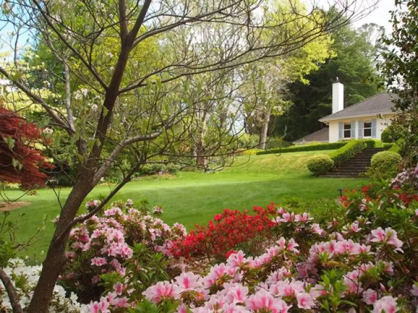 23 Gladstone Road, Bowral Sold by Drew Lindsay Sotheby's International Realty - image 16