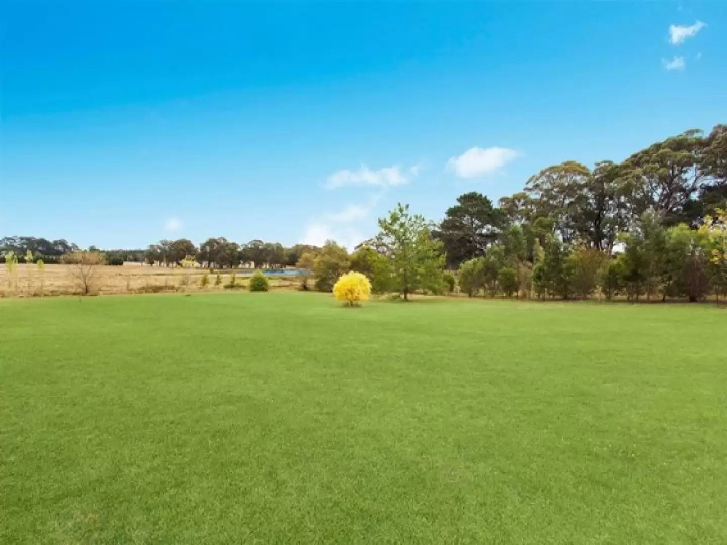 14 Devon Road, Exeter Sold by Drew Lindsay Sotheby's International Realty - image 4