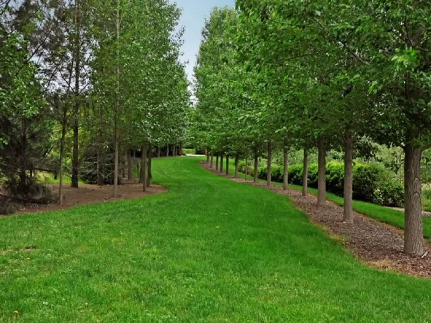 Sutton Forest Sold by Drew Lindsay Sotheby's International Realty - image 12