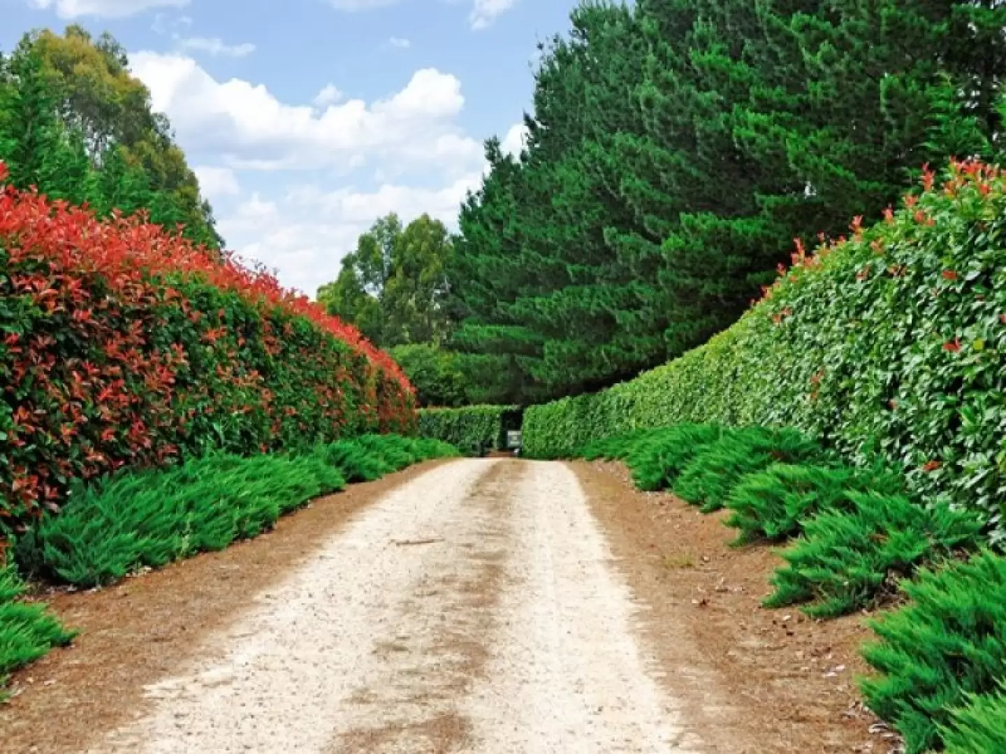 Sutton Forest Sold by Drew Lindsay Sotheby's International Realty - image 17