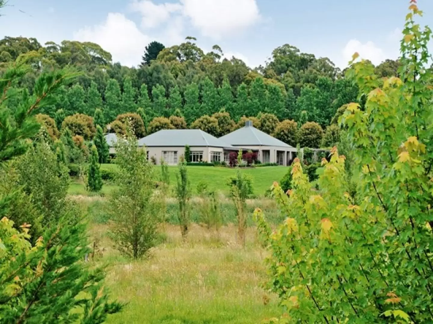 Sutton Forest Sold by Drew Lindsay Sotheby's International Realty - image 7