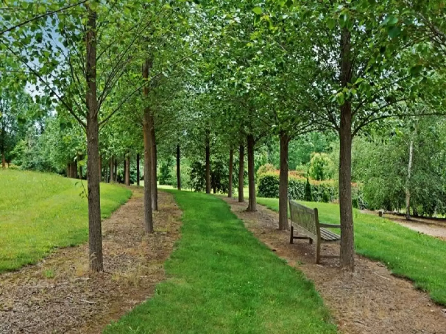 Sutton Forest Sold by Drew Lindsay Sotheby's International Realty - image 10