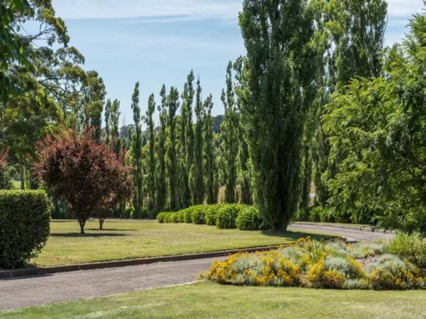 129 Bong Bong Road, Mittagong Sold by Drew Lindsay Sotheby's International Realty - image 20