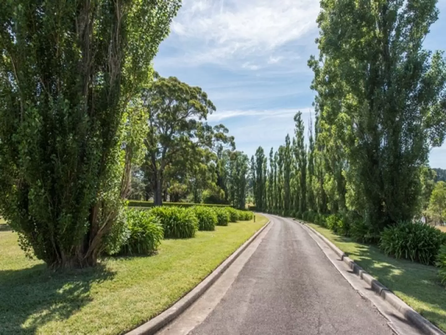 129 Bong Bong Road, Mittagong Sold by Drew Lindsay Sotheby's International Realty - image 19