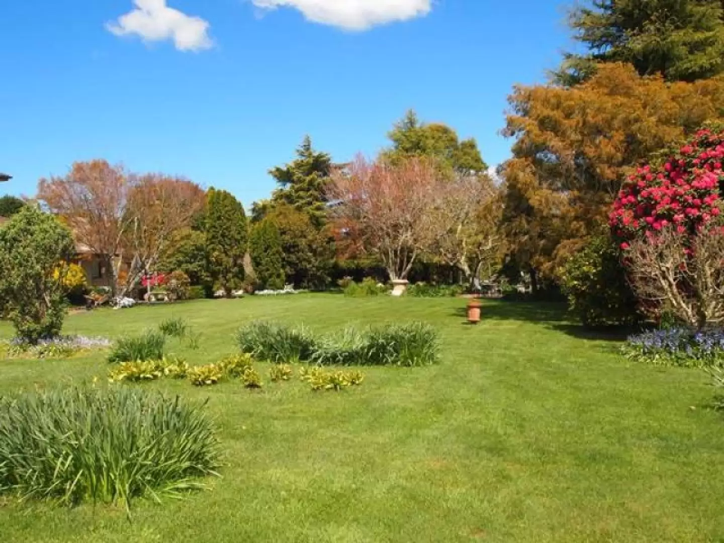 4 Lemmons Road, Robertson Sold by Drew Lindsay Sotheby's International Realty - image 11